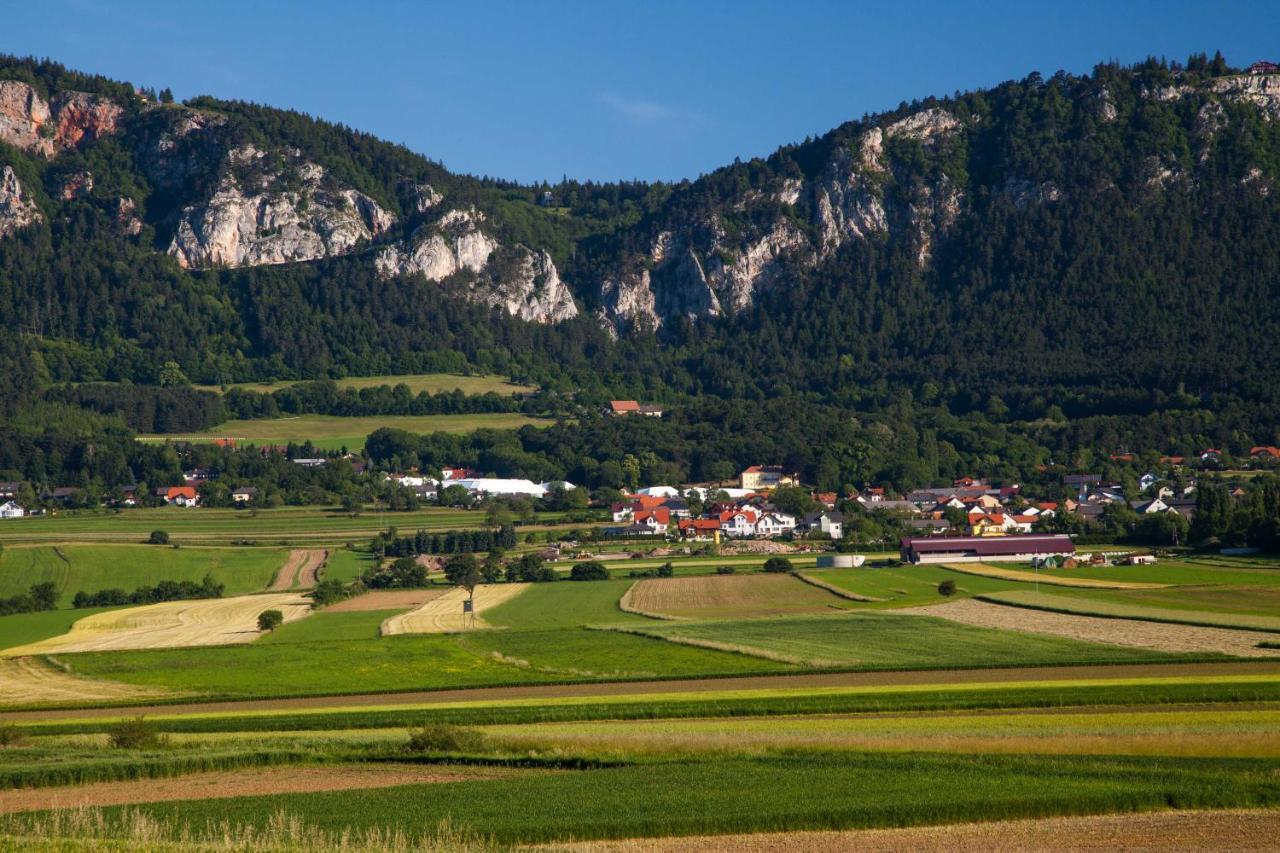 Farmhouse - Hohe Wand Hotel Stollhof Bagian luar foto